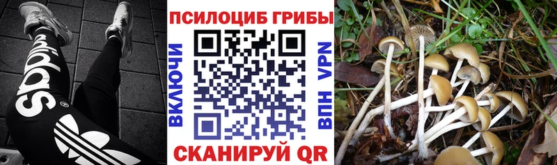цена наркотик  Вуктыл  Псилоцибиновые грибы ЛСД 